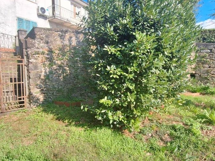 Casa con 6 locali in vendita in Filecchio, Barga