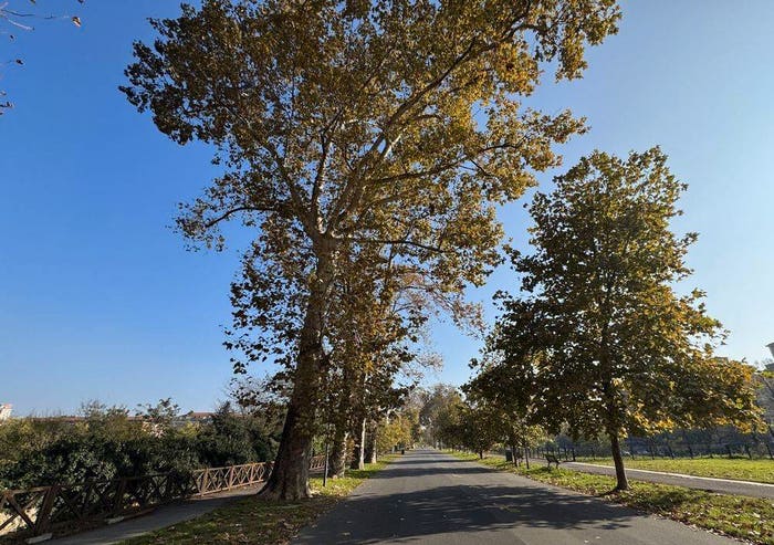 Appartamento trilocale in vendita in Pubblico Passeggio, Piacenza