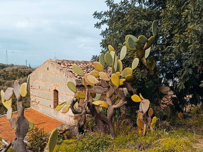 Casa trilocale in vendita in Strada Statale Orto Liuzzo, Ortoliuzzo San Saba, Messina