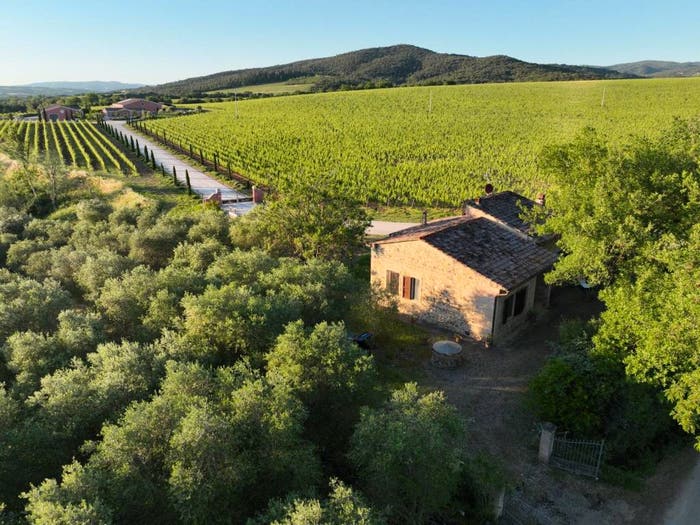 Casa quadrilocale in vendita in Montalcino