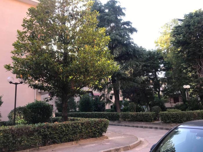 Appartamento quadrilocale in vendita in Via Aristide Giovanni Barducci, Ferrarecce Università, Caserta