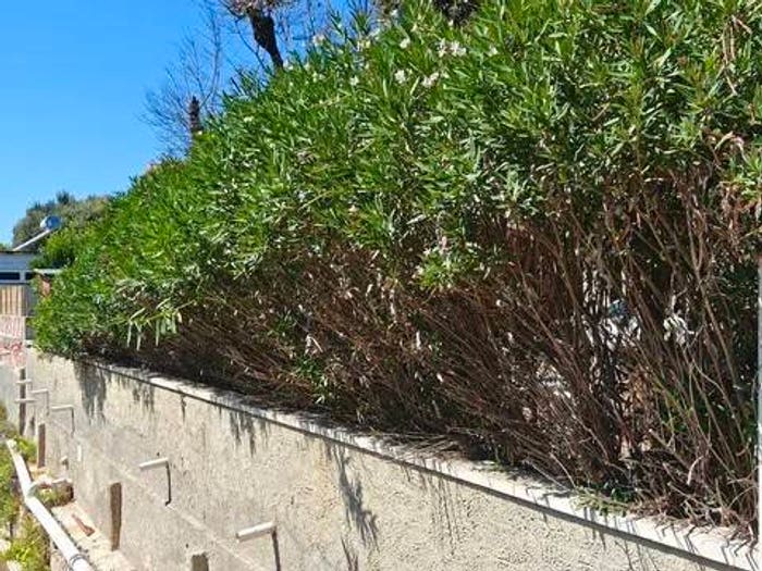 Appartamento quadrilocale in vendita in Viale Serristori, Centro, San Vincenzo