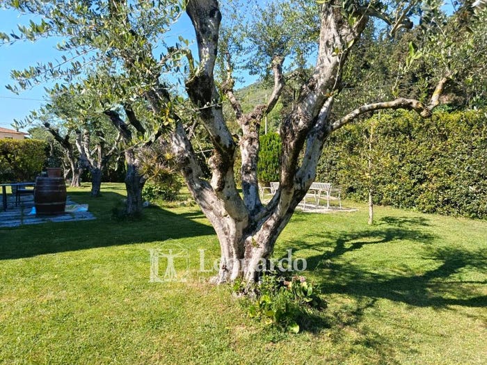 Casa con 6 locali in vendita in Via delle Mimose, Piano di Mommio, Massarosa