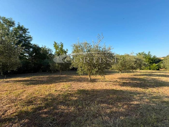 Appartamento con 5 locali in vendita in Via Briglia, Cartoceto