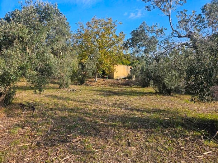 Casa monolocale in vendita in località La Maestà, Rosignano Marittimo Paese, Rosignano Marittimo
