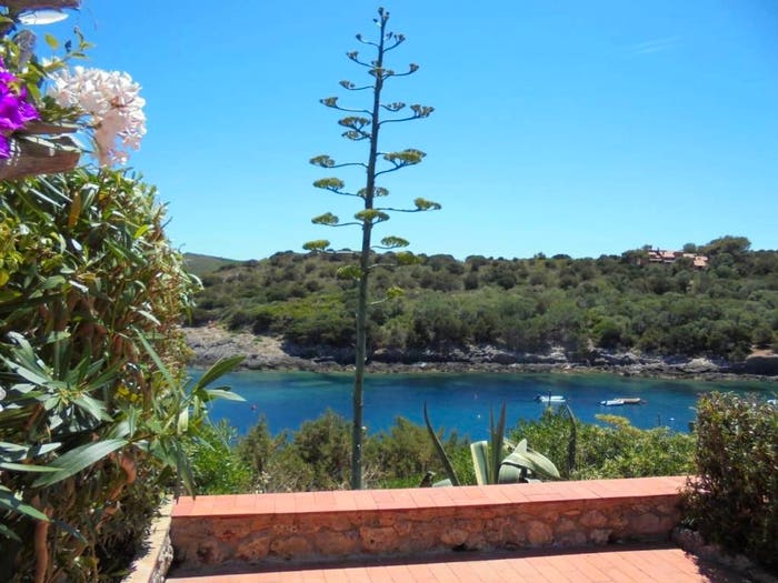 Appartamento bilocale in vendita in Località Spalmatoio, Spalmatoio Ischiaiola, Isola del Giglio