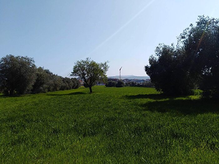 Casa in vendita in Giulianova