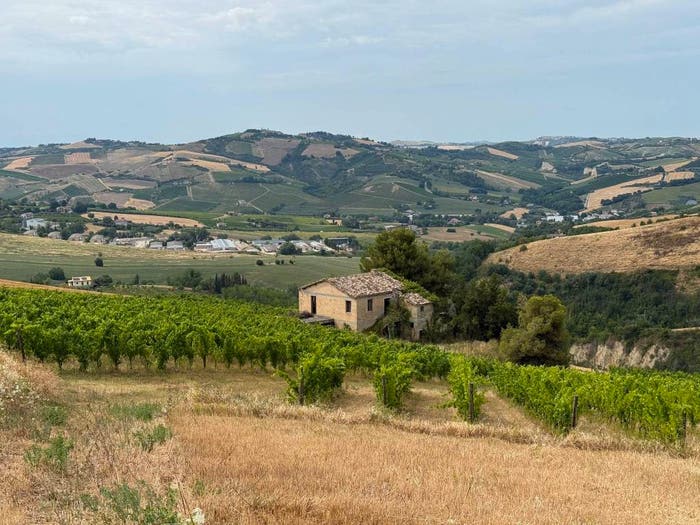 Casa con 6 locali in vendita in Contrada Tesino, Offida