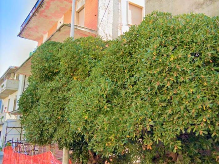 Casa con 6 locali in vendita in Centro, Alba Adriatica