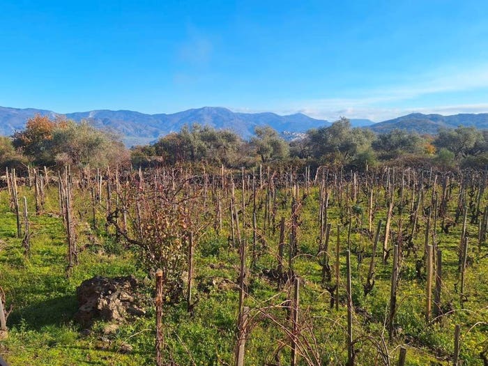 Casa quadrilocale in vendita in Strada Statale dell'Etna e delle Madonie, Solicchiata, Castiglione di Sicilia
