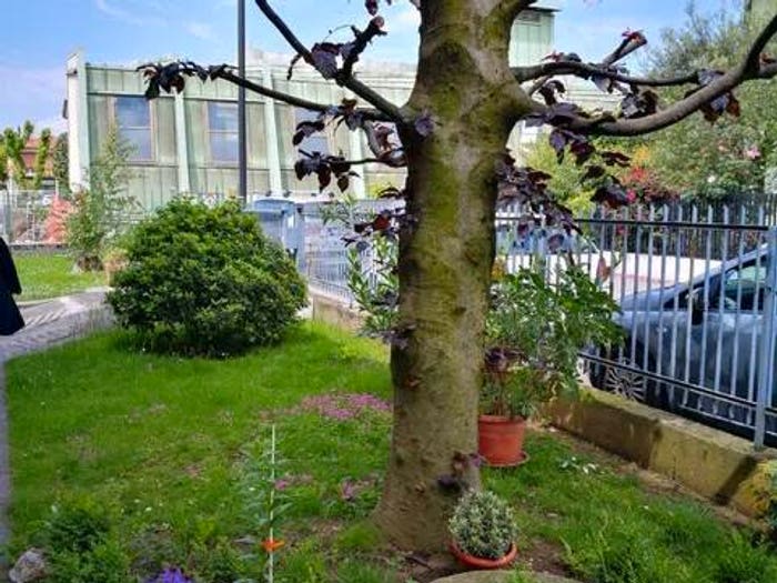 Appartamento trilocale in vendita in Via Gaetano Donizetti, Grassobbio