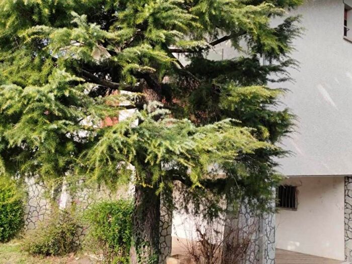 Casa con 6 locali in vendita in Via fante alighieri, Centro, San Costanzo