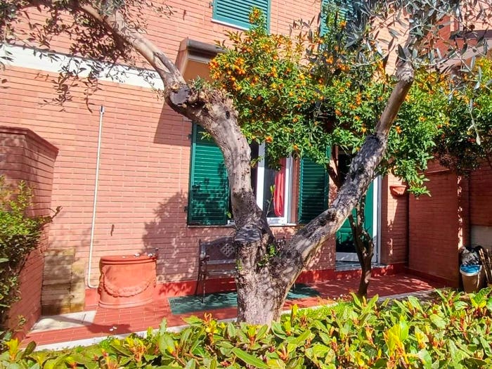 Casa con 6 locali in vendita in Centro, Massa