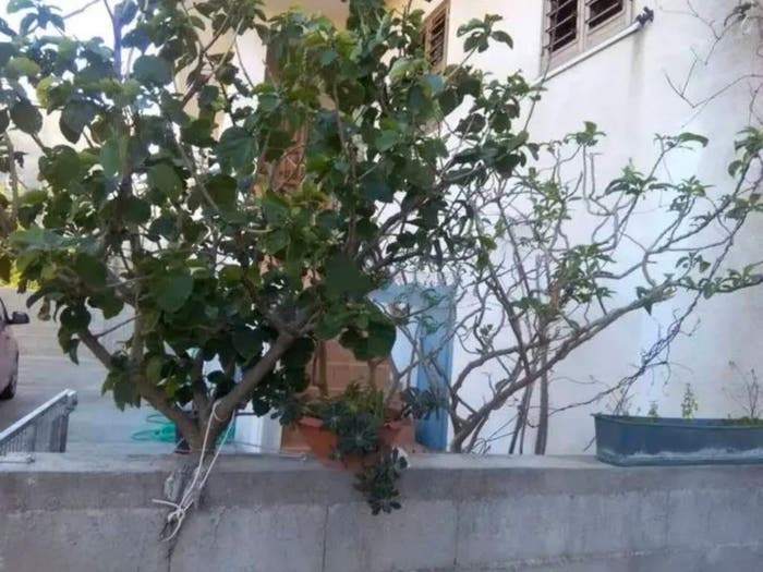 Casa con 5 locali in vendita in Strada Fracastò Porticato, Marina di Gioiosa Ionica