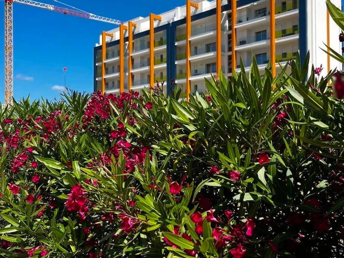 Appartamento quadrilocale in vendita in Via Alexander Fleming, Maria Pia Fertilia, Alghero