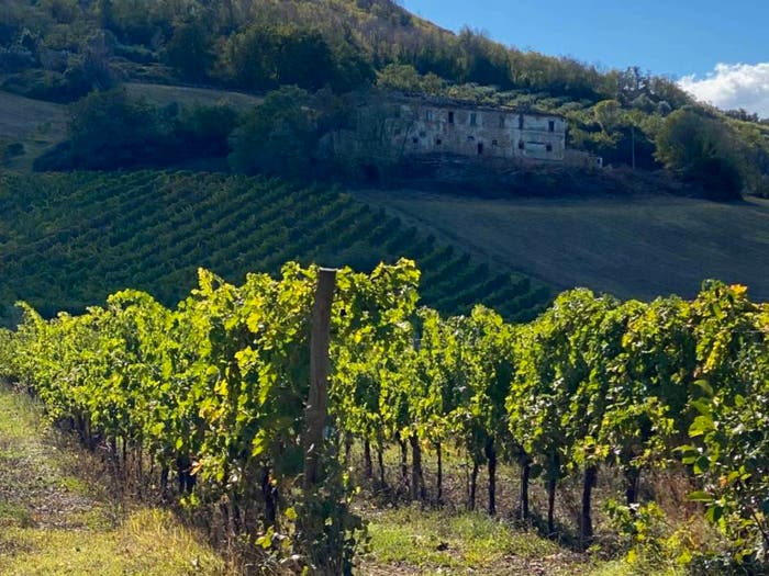 Casa monolocale in vendita in via piane tronto, Controguerra