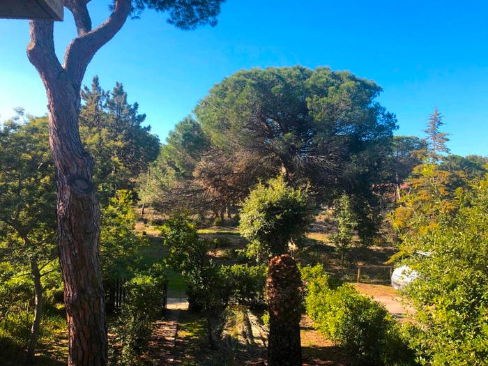Casa quadrilocale in vendita in Via dello Storione, La Principina, Grosseto