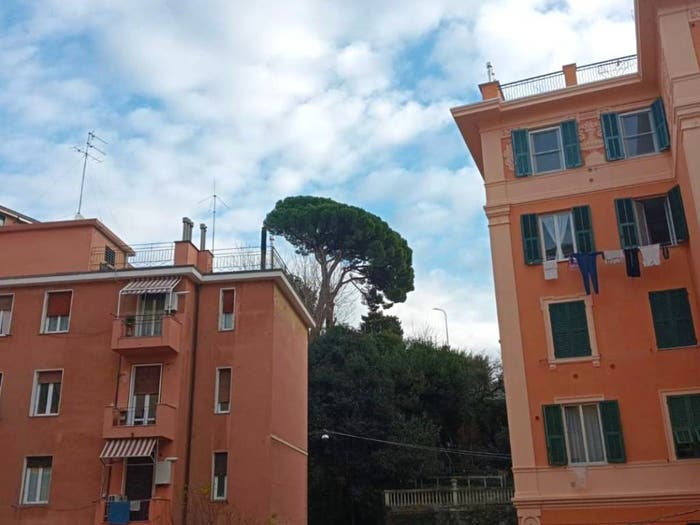 Appartamento bilocale in vendita in Via Rexello, Pegli, Genova