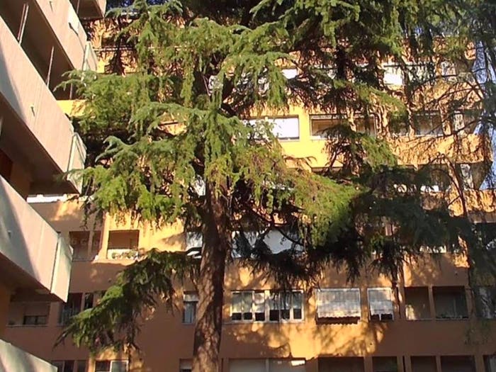 Appartamento quadrilocale in vendita in Via Pompeo Vizzani, Massarenti, Bologna