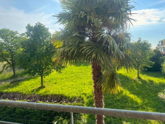 Appartamento monolocale in vendita in Via del Giaggiolo, Casalborsetti, Ravenna