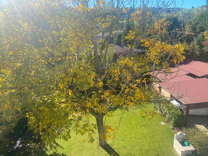 Casa con 6 locali in vendita in Centro, Castellarano