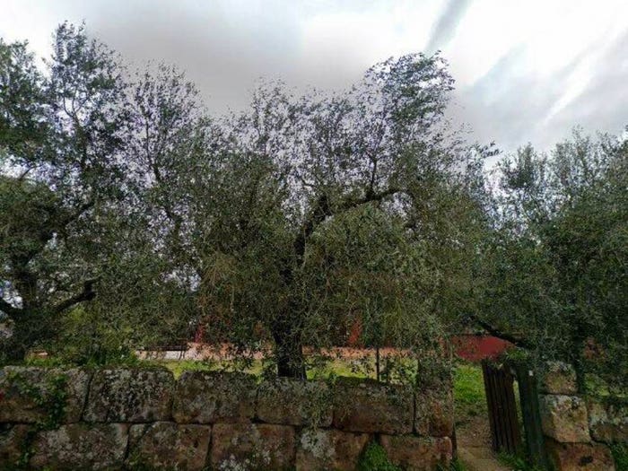 Casa quadrilocale in vendita in Via della Giustiniana H Roma RM, La Giustiniana, Roma