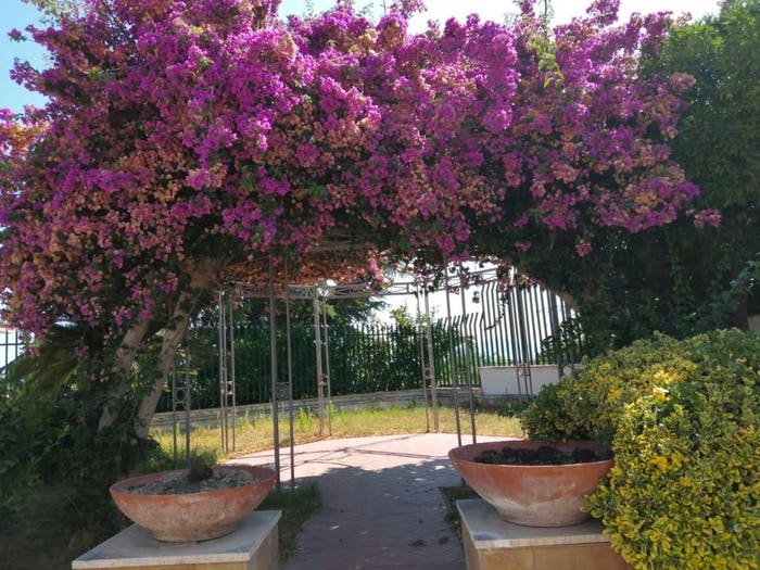 Casa con 6 locali in vendita in Via Madonna del Pantano, Licola Paese, Giugliano in Campania