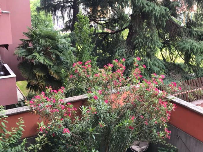 Appartamento monolocale in vendita in Via Torquato Taramelli, Isola, Milano