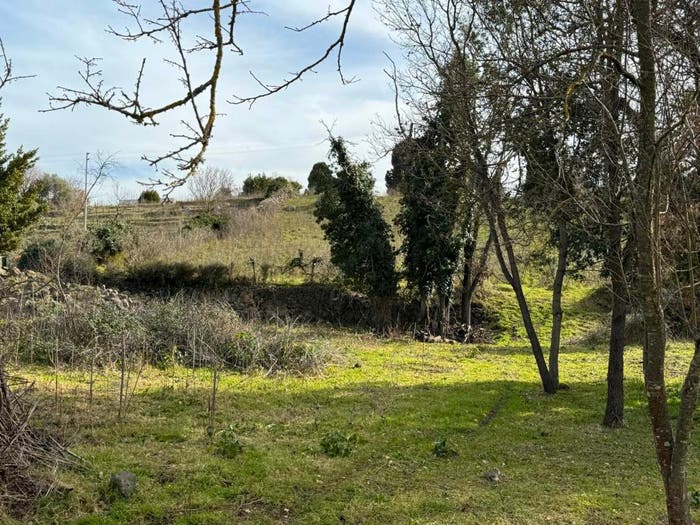 Casa quadrilocale in vendita in Via Giovanni Spanu, Centro, Padria