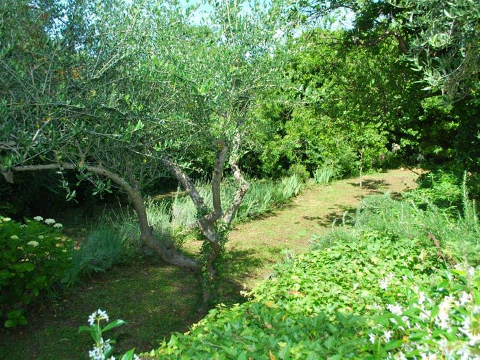 Casa quadrilocale in vendita in Località Zanego, Ameglia