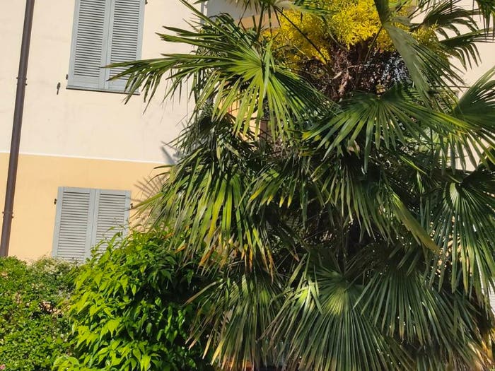 Appartamento trilocale in vendita in Via Mastri Muratori, Gornate Olona, GornateOlona