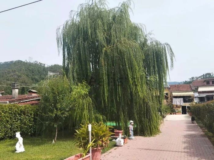 Casa con 6 locali in vendita in Via Regurone Nord, Centro, Brugnato