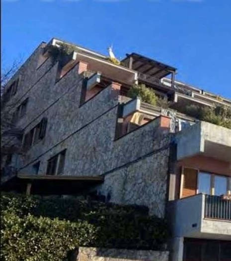 Appartamento quadrilocale in vendita in Calcinaia