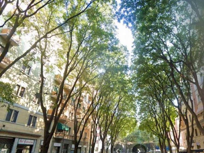 Appartamento trilocale in vendita in via Aselli, Città Studi, Milano