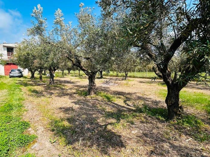 Casa bilocale in vendita in Via delle Palme, Gizzeria
