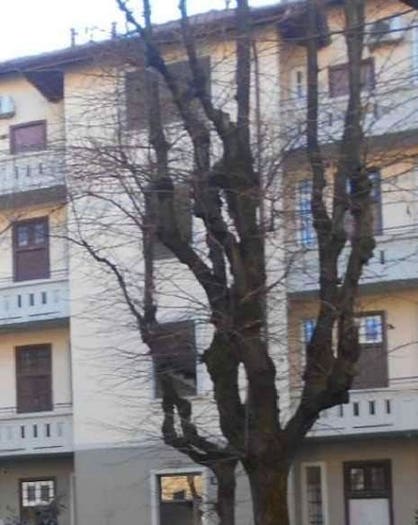 Appartamento trilocale in vendita in Via Giovanni Pascoli, Città Studi, Milano