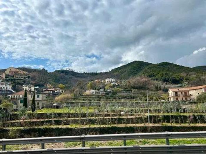 Appartamento trilocale in vendita in Via N Rembado, Tovo San Giacomo