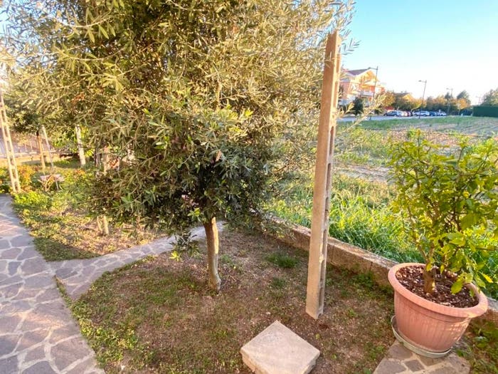 Appartamento con 5 locali in vendita in San Giacomo Lion Carpanedo, Albignasego