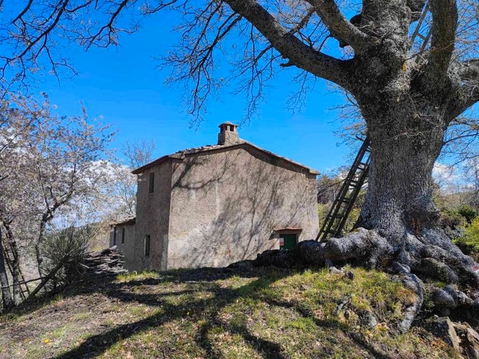 Casa con 5 locali in vendita in Le Capanne, Seggiano
