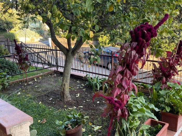 Appartamento con 5 locali in vendita in Via del Cutignolo, Centro, Capalbio