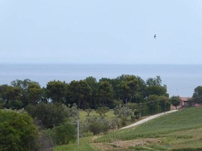 Casa con 6 locali in vendita in Strada Comunale Nuova Di Roncosambaccio SNC, San Biagio Roncosambaccio, Fano