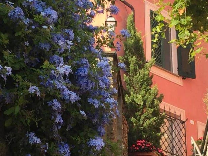 Casa con 6 locali in vendita in Bacezza Le Grazie Sant'Andrea di Rovereto, Chiavari