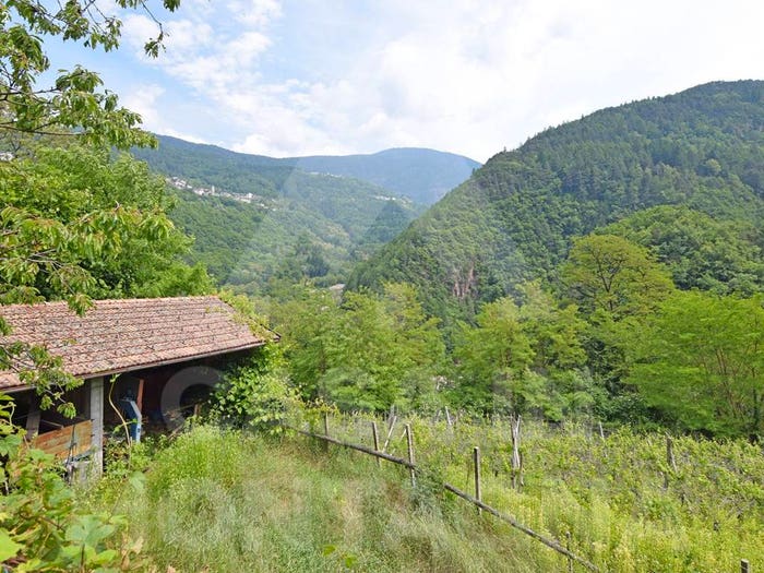 Casa quadrilocale in vendita in Località Rio, Altavalle