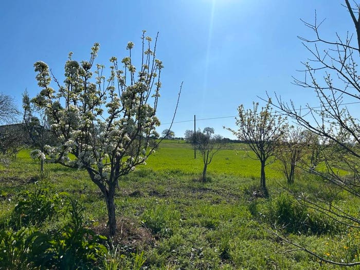Casa quadrilocale in vendita in Località Morroni, Bonito