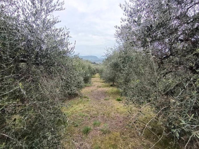 Casa con 6 locali in vendita in Via Giorgio Ambrosoli, Montecampano, Amelia