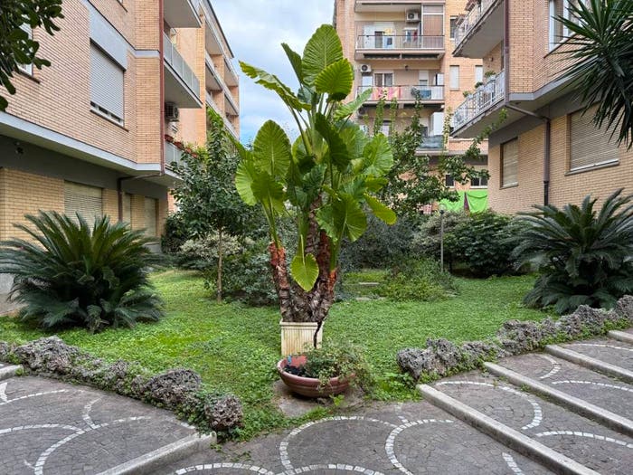 Appartamento monolocale in affitto in Via Virgilio Ramperti, Casal Bruciato, Roma