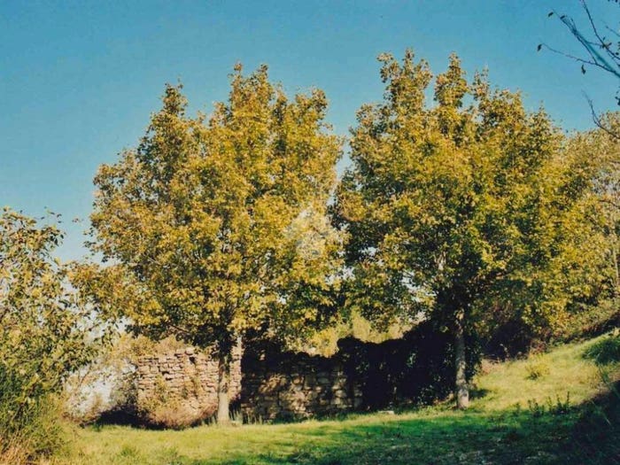Casa monolocale in vendita in via Collemancio, Cannara