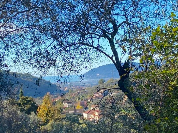 Casa con 6 locali in vendita in Via Noceto, Casano Dogana Isola, Luni