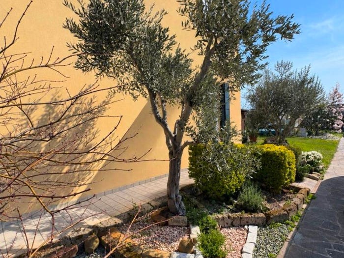 Casa con 6 locali in vendita in Via Arzerini, Centro, Camponogara