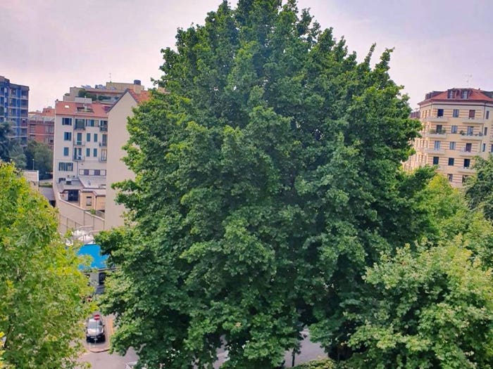 Appartamento quadrilocale in vendita in CASSIODORO, Sempione, Milano